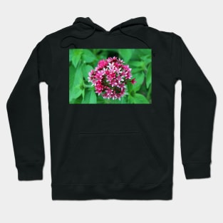 Nature's Flower Bouquet Hoodie